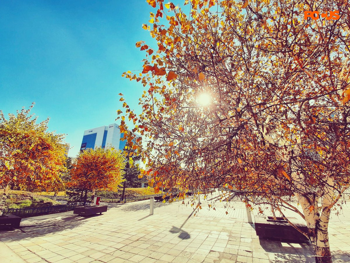 Нийт нутгаар өдөртөө бага зэрэг дулаарна